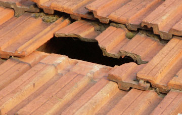 roof repair Ragdon, Shropshire